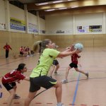 2017_02_19 Landesliga Frauen und Jugend 19